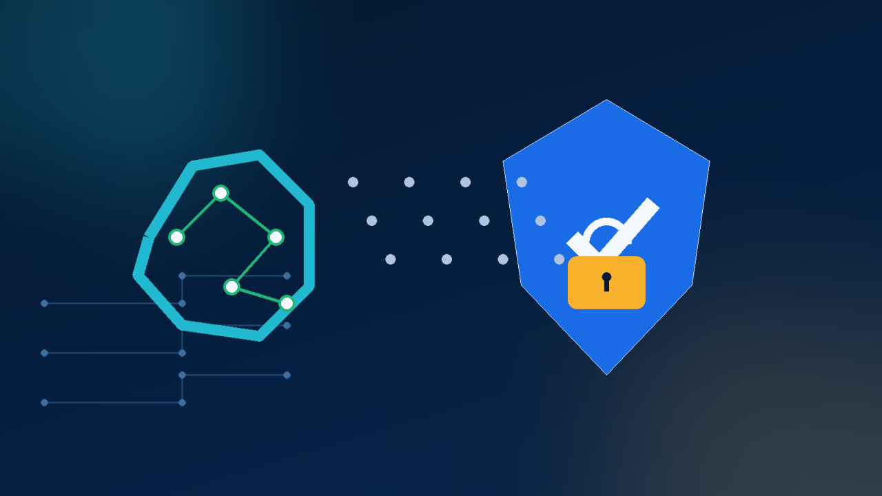 AI network protected by a privacy shield and lock