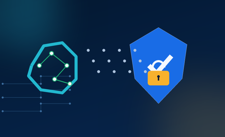 AI network protected by a privacy shield and lock
